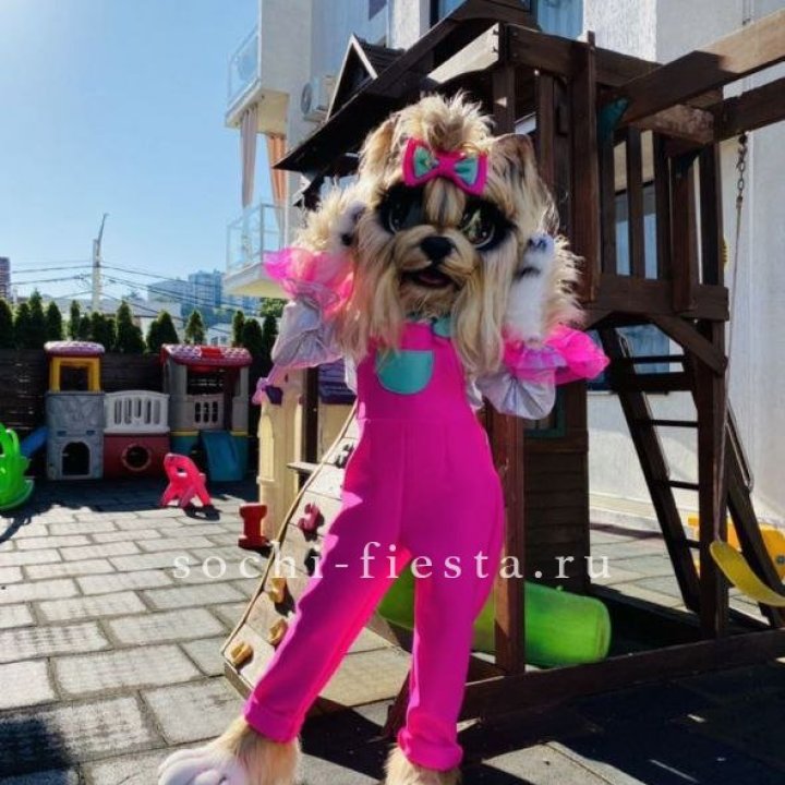 Аниматор Гламурная Собака в Чите