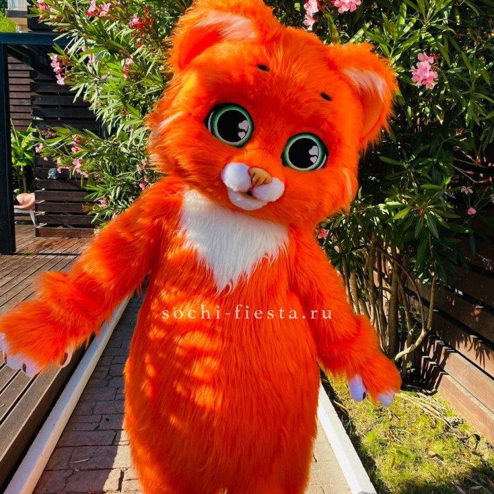 Аниматор Котик в Чите