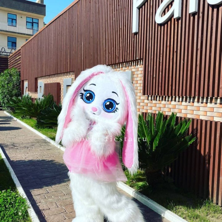 Аниматор Зайка в Чите