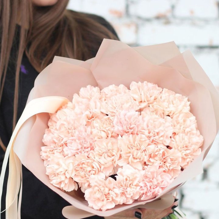 Диантусы №2 в Чите