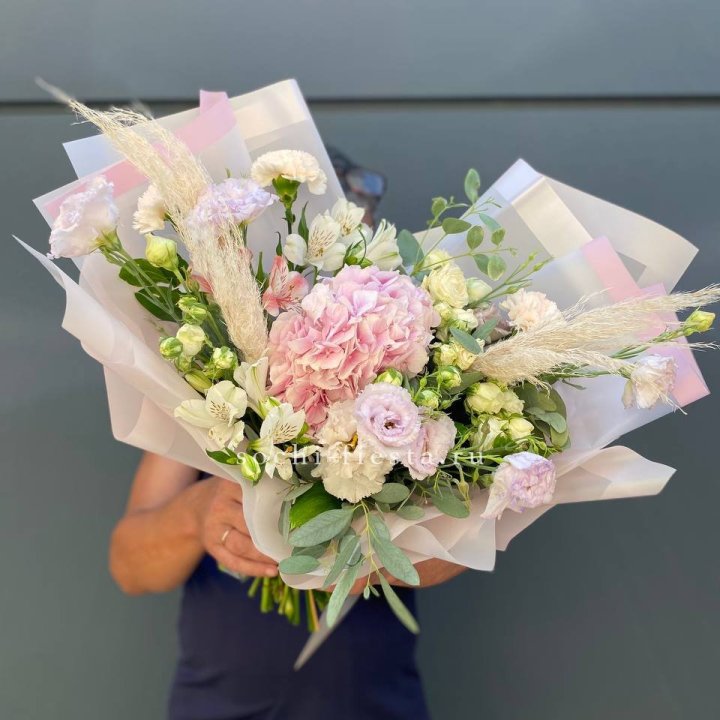 Гортензия "Пинк флоид" в Чите