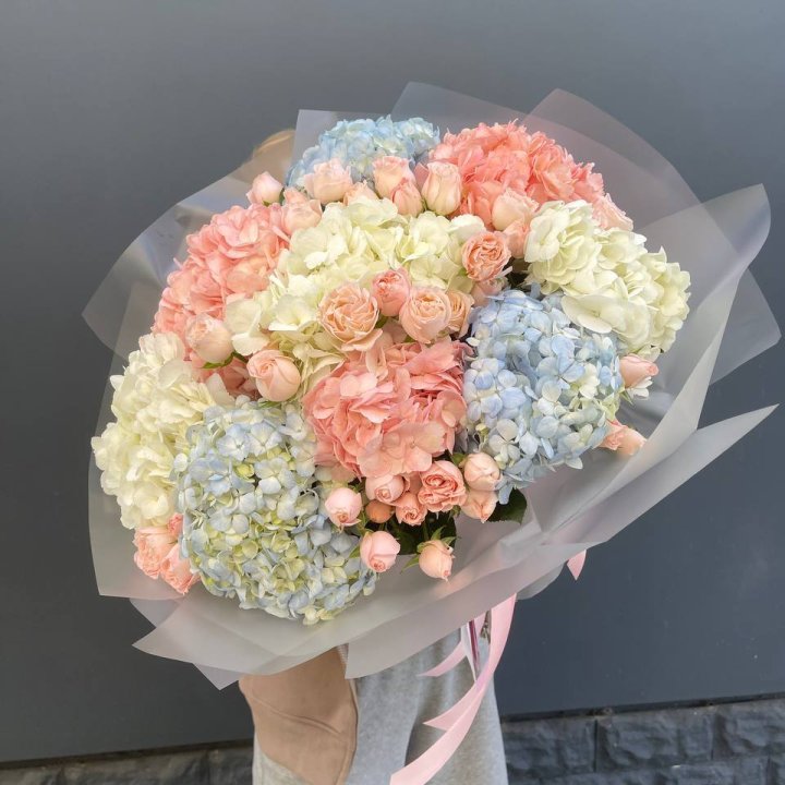 Дуо гортензии и бомбастик в Чите