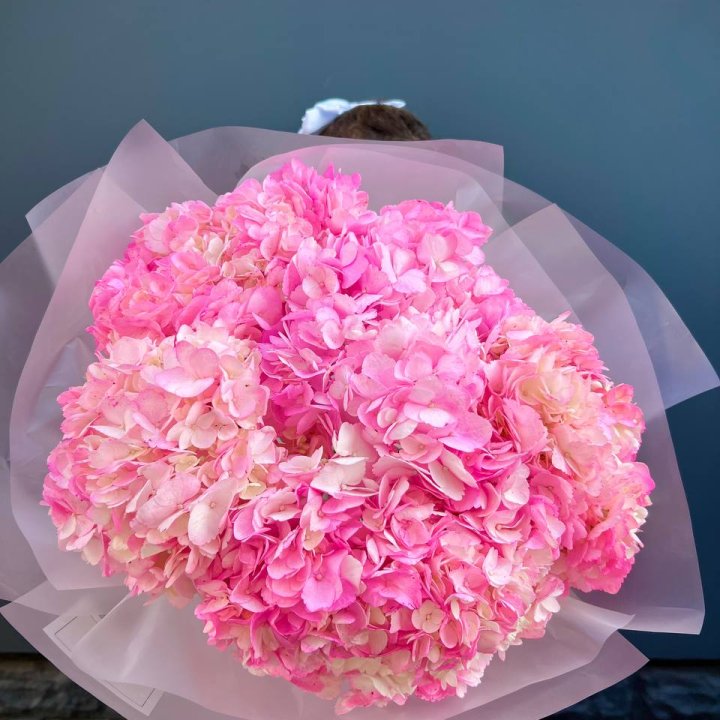 9 ярко розовых гортензий в Чите