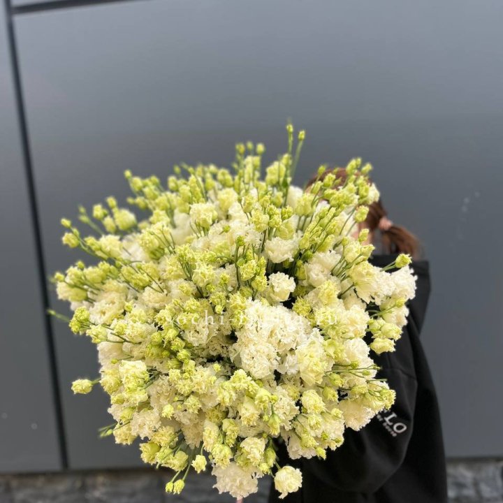 51 белая эустома в Чите