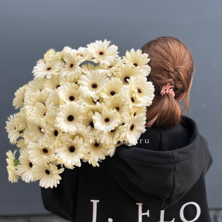 51 гербера в Чите