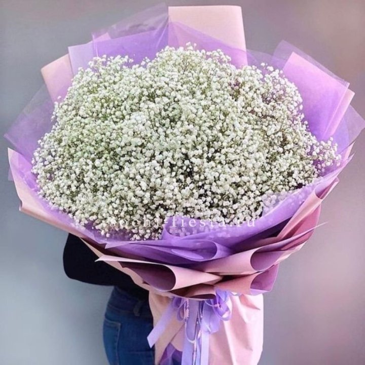 Облако белых гипсофил в Чите