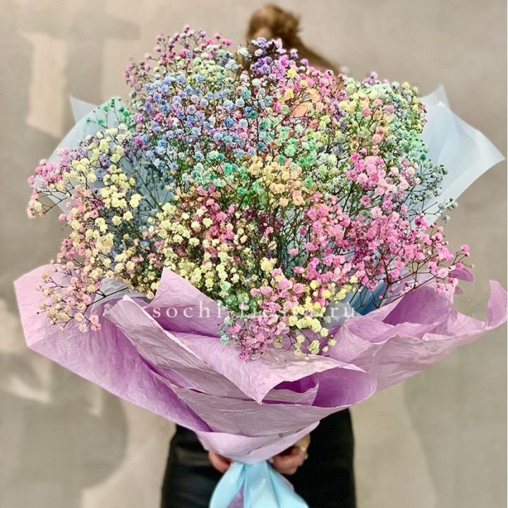 Радужные гипсофилы №2 в Чите