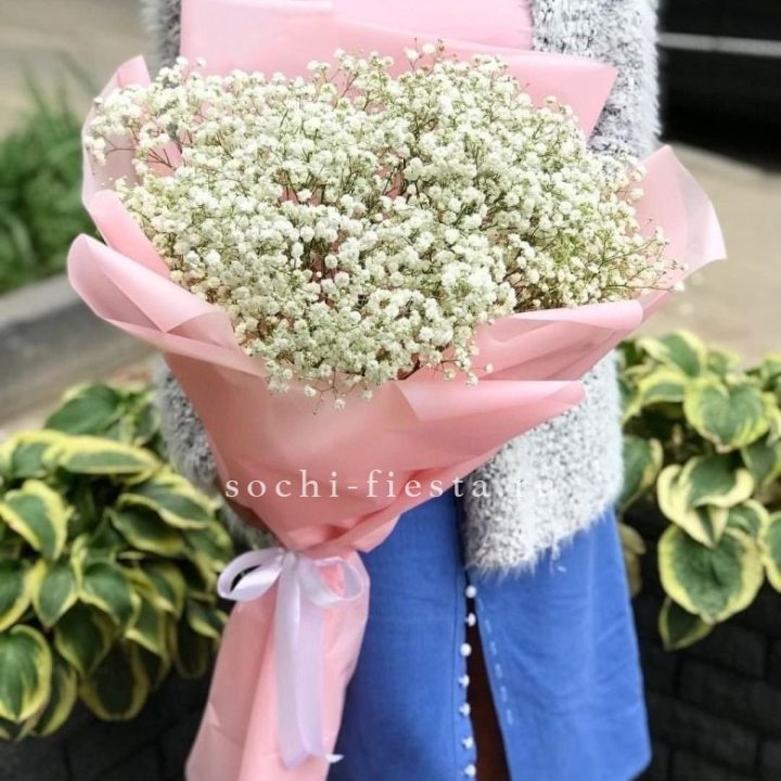 Белоснежные гипсофилы в Чите