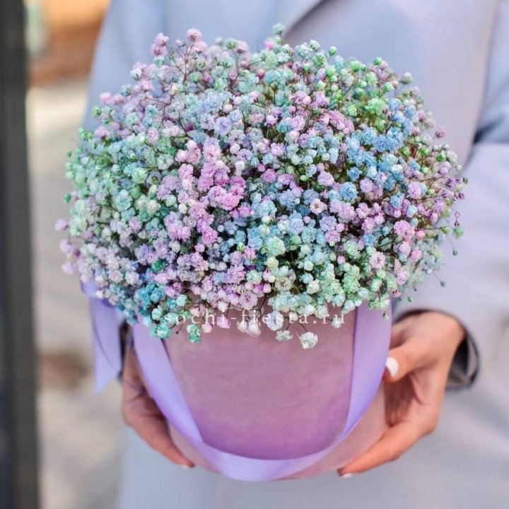 Гипсофилы в шляпной коробке "Кандилайт" в Чите