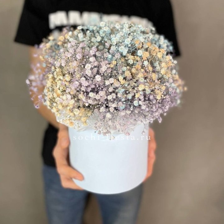 9 Радужных гипсофил в шляпной коробке в Чите