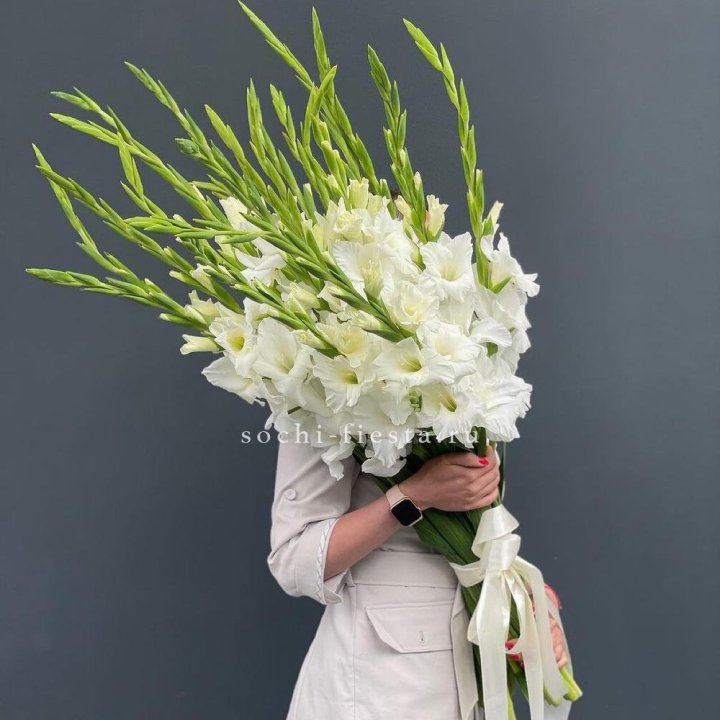 19 белых гладиолусов под ленту в Чите