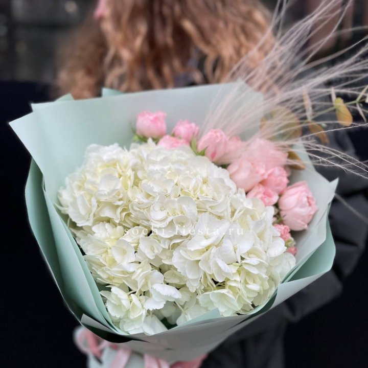 Гортензия "Жасмин" в Чите