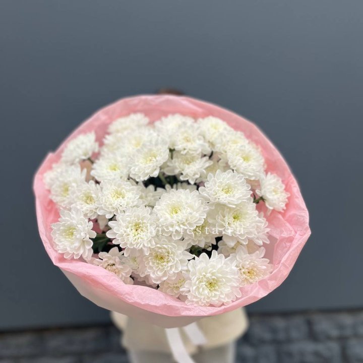  5 хризантем  в Чите