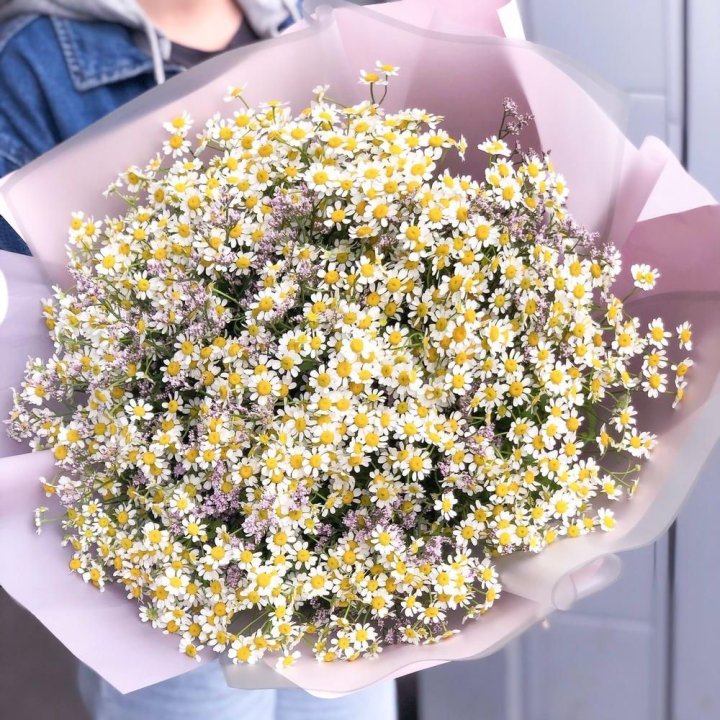 Букет ромашек №1 в Чите