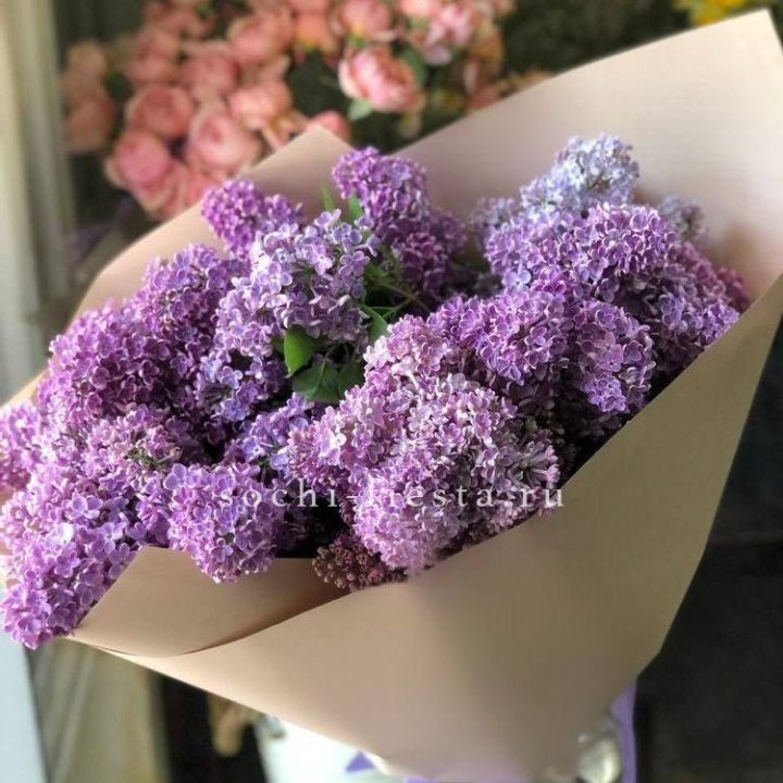 Букет сирени №2 в Чите