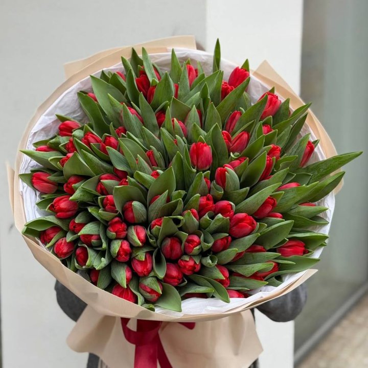 101 красный тюльпан в Чите