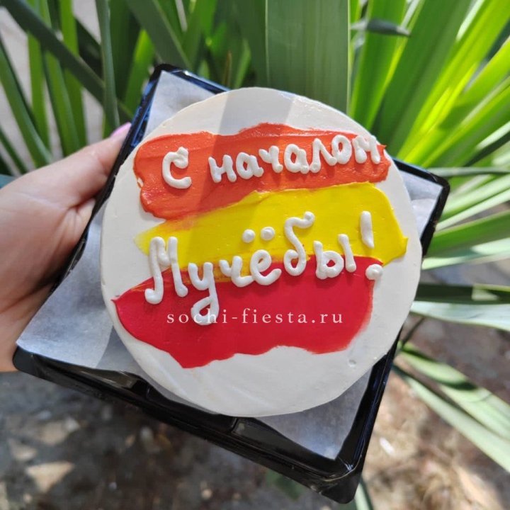 Бенто-торт "С началом учёбы"" в Чите