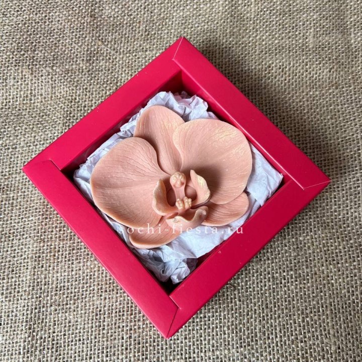 Бельгийский шоколад Орхидея в Чите