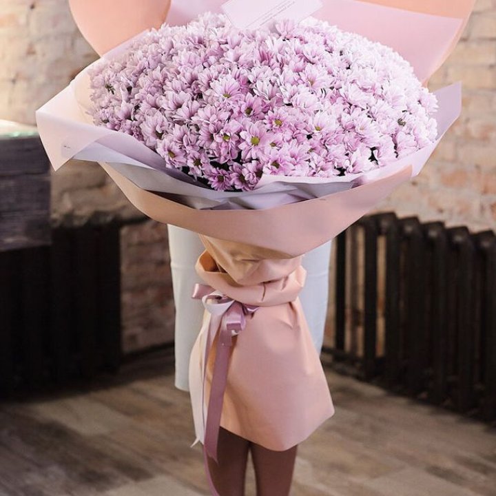 Облако хризантем №1 в Чите