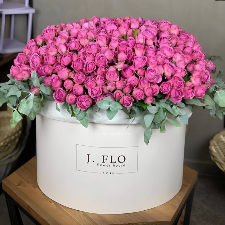 Цилиндр с Мисти Бабблс  в Чите