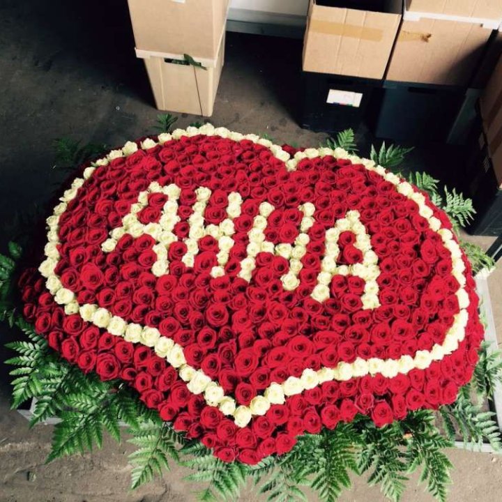 555 роз с именем в Чите