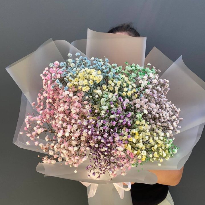 Радужные гипсофилы  в Чите