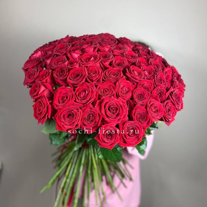 101  голландская роза  в Чите