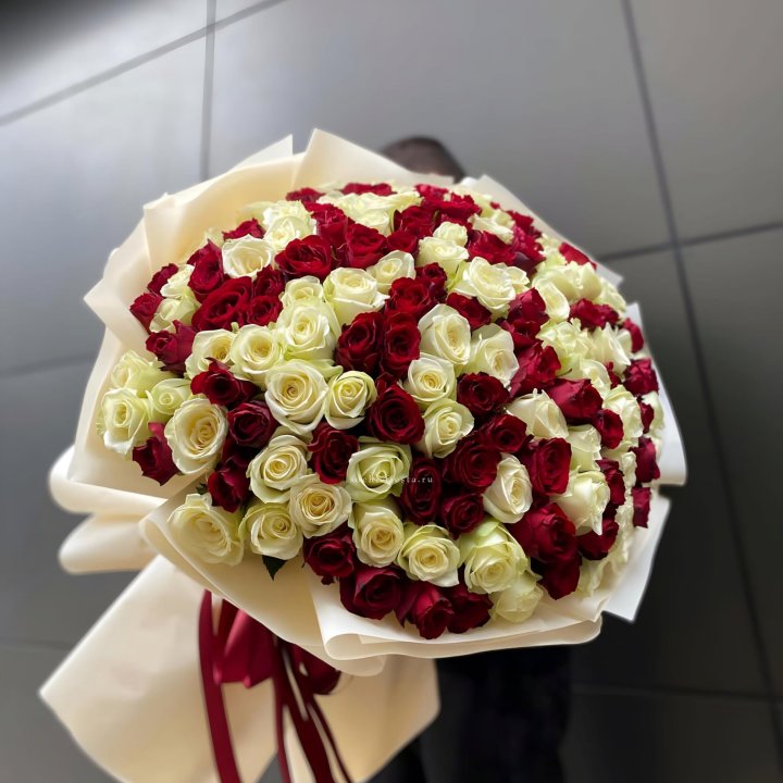 101 высокая импортная роза  в Чите