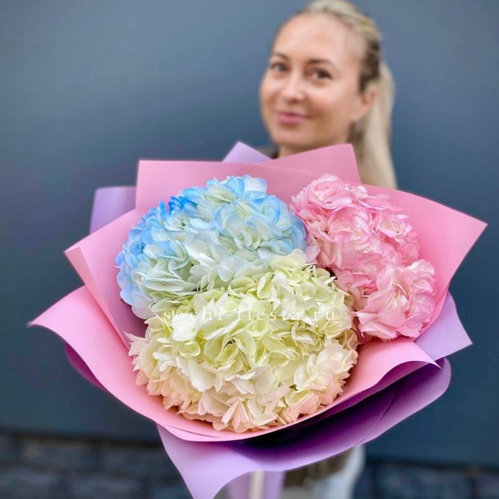Букет гортензий "Тоника" в Чите