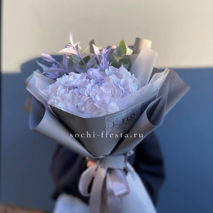 Гортензия "Виолета" в Чите