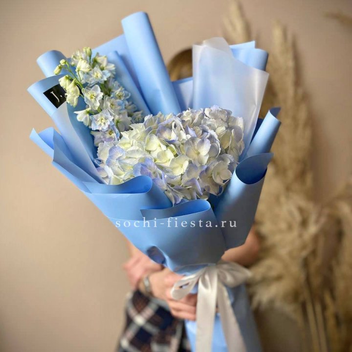 Гортензия "Блю скай" в Чите
