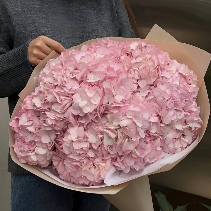 Гортензия  "РОЗЕ" в Чите