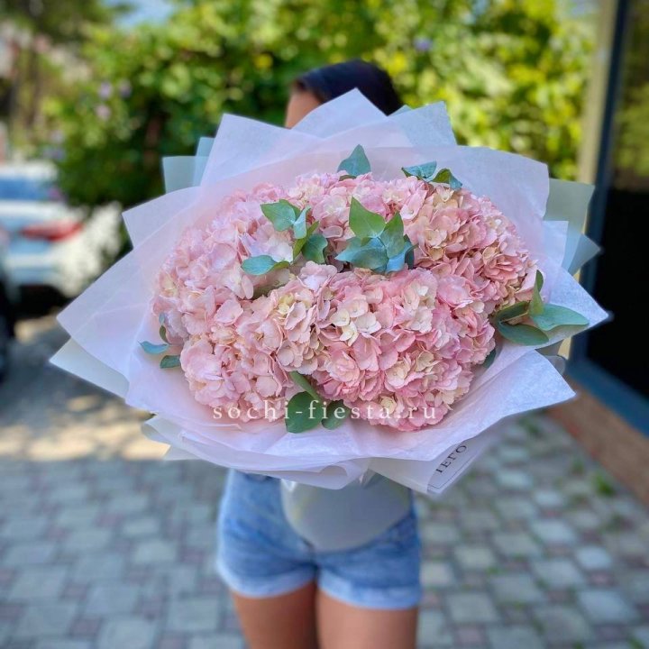 5 розовых гортензий  в Чите