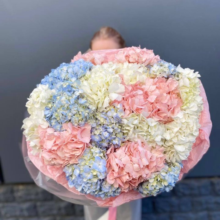 19 гортензий микс в Чите