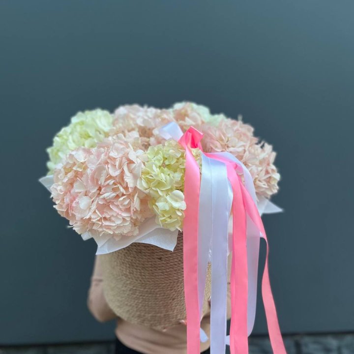 7 гортензий в кашпо в Чите