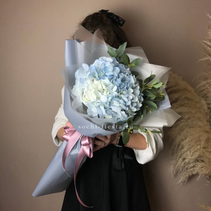 Гортензия Уно в Чите