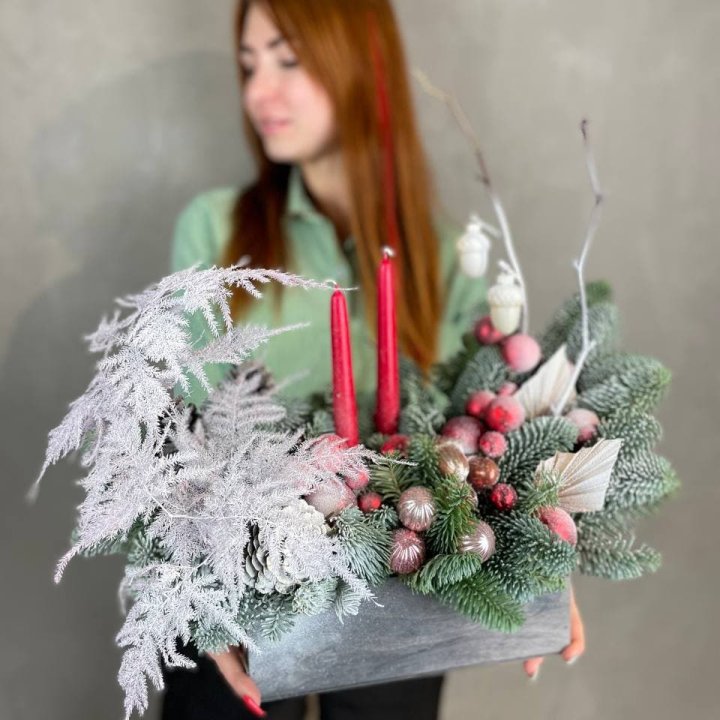 Бокс красный с нобилисом в Чите