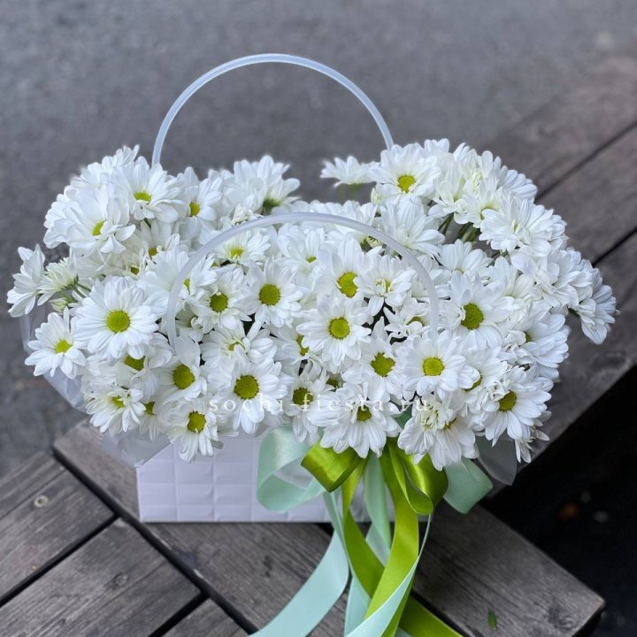 Сумка с хризантемами ромашками в Чите