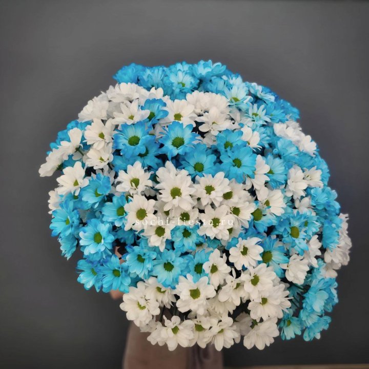  Букет хризантем микс в Чите