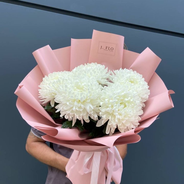 Профитроли №2 в Чите