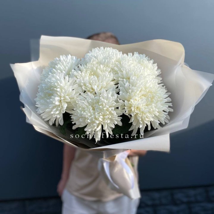 Профитроли в Чите