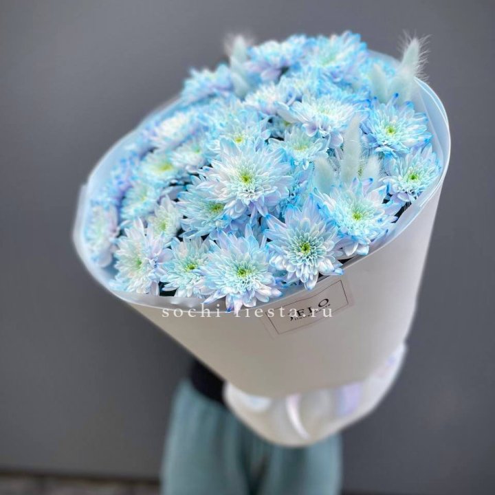  Букет нежно-голубых хризантем  в Чите