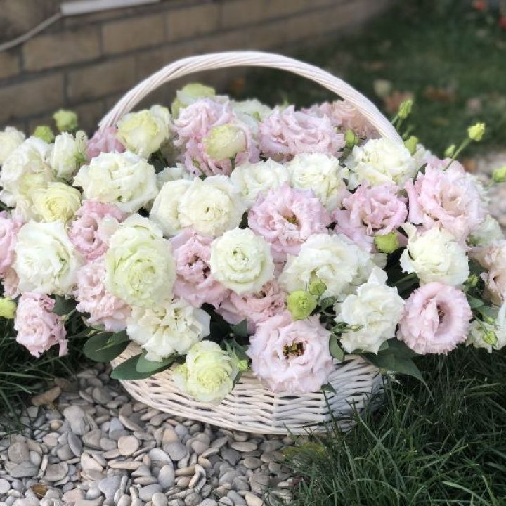 Корзина с эустомой в Чите