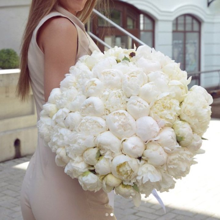 51 белый пион в Чите