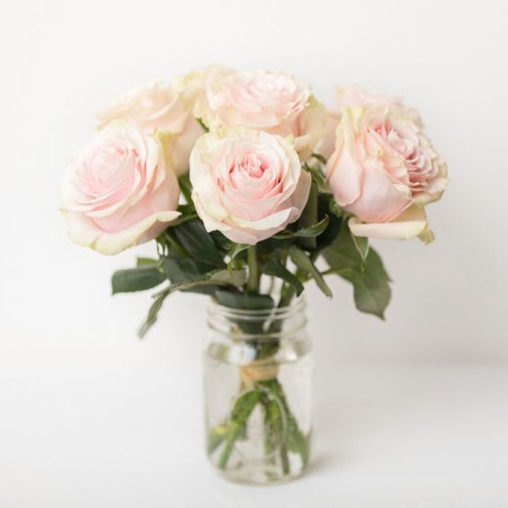 7 кремовых роз в Чите