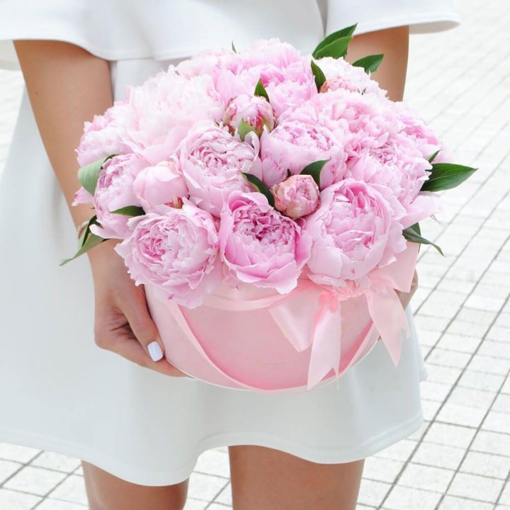 Пионы в шляпной коробке в Чите