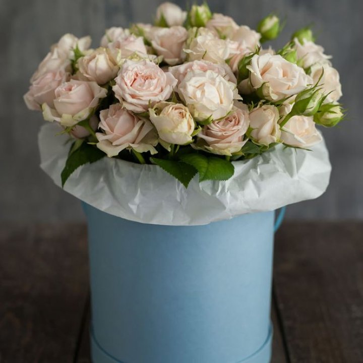 Бокс с бомбастиком в Чите