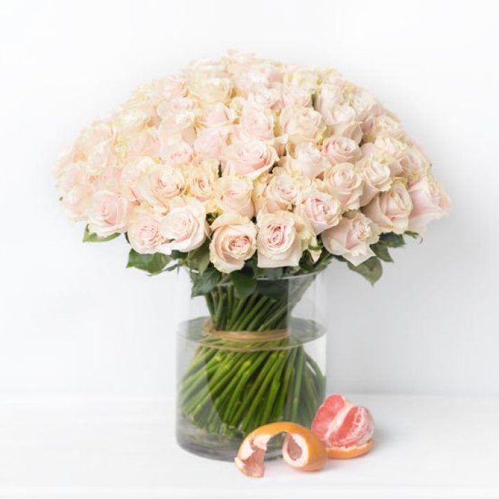 101 кремовая роза в Чите