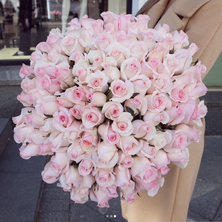 Розы "Пинк бум" в Чите