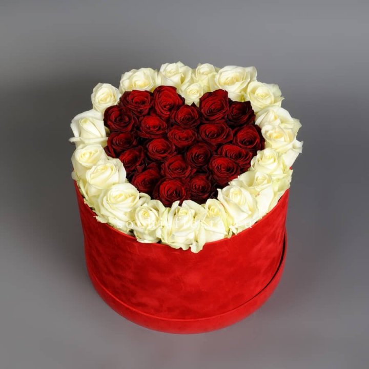 39 красных и белых роз в цилиндре в Чите